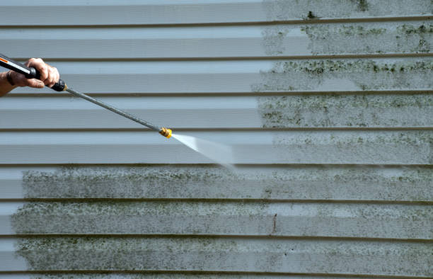 Best Deck Cleaning Services  in Mishawaka, IN