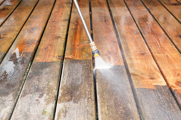 Best Fence Pressure Washing  in Mishawaka, IN