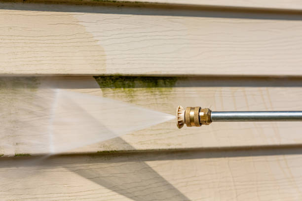 Best Sidewalk Pressure Washing  in Mishawaka, IN