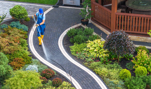 Best Affordable Power Washing  in Mishawaka, IN